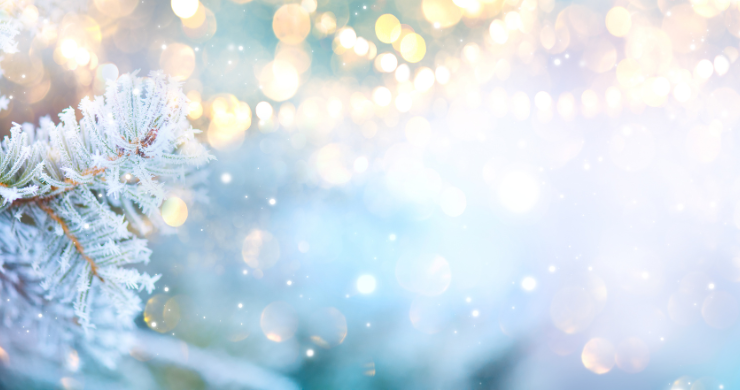 Image of evergreen tree branch with frost with glowing festive lights in the backgroud 